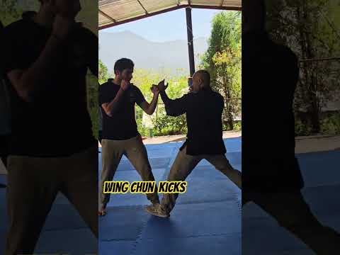 Wingchun Kicks #wingchunkicks #wingchunindia #wingchun #vingtsun #kungfu #shifukanishka #ipman #kick