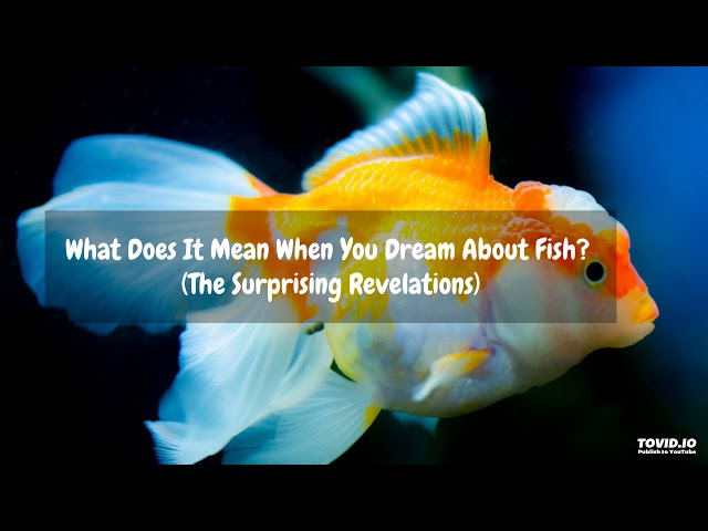 What Does It Mean To Dream About A Fish Tank? - StuffSure