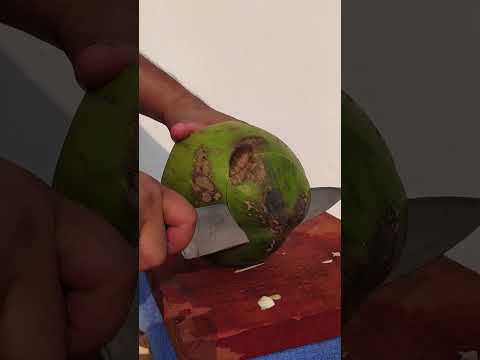 Perfect ASMR-The legendary coconut cutting technique #satisfying #shorts