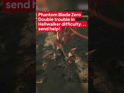 Hellwalker difficulty + DOUBLE boss fight = pure pain 😭🔥