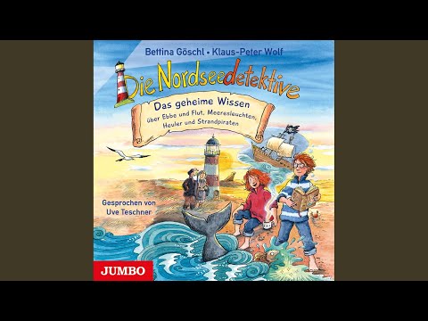 Kapitel 1 & Kapitel 2 & Kapitel 3.1 - Die Nordseedetektive. Das geheime Wissen über Ebbe und...