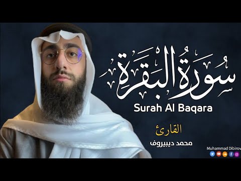 سورة البقرة  كاملة  للقارئ محمد ديبيروف  Muhammad Dibirov Surah Al Baqara   Muhammad Dibirov  محمد