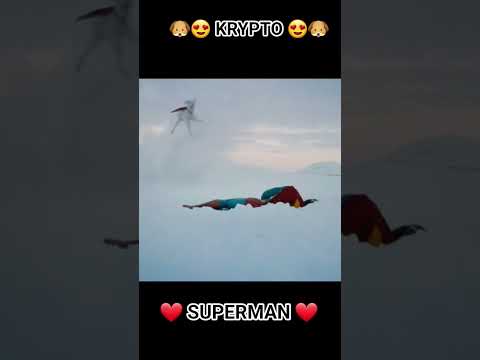 ❤️ SUPERMAN ❤️ 😍 KRYPTO 😍 ❤️❤️ #happy #ganeloft039 #like #share #superman #movie #youtube #tiktok