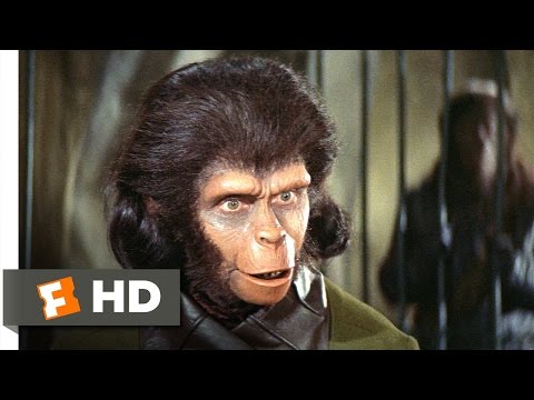 Planet of the Apes (2/5) Movie CLIP - Human See, Human Do (1968) HD - UC3gNmTGu-TTbFPpfSs5kNkg