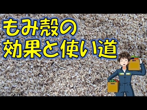 【もみ殻の効果と使い道】今年はどのくらい畑に投入するか･･･