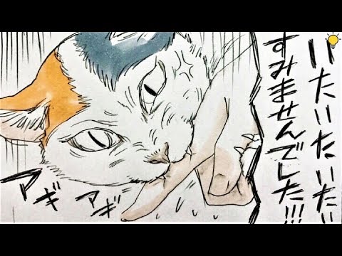 ウルトラちゃんねるの最新動画 Youtubeランキング