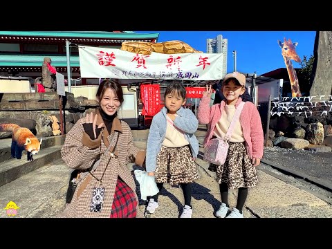 【初詣】今年の運勢がヤバい！不運が続くお正月…【野毛山動物園】