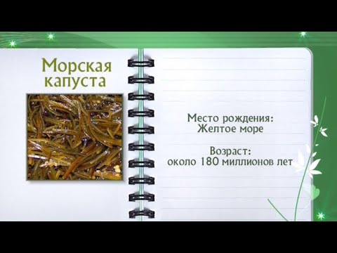 Кулинарная энциклопедия - Морская капуста - UC7XBjhXnmmXFsxmnys9PmDQ