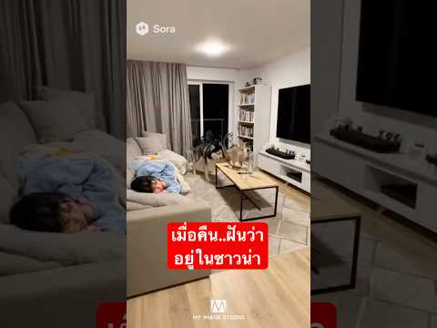 เมื่อคืนเหมือนฝัน…ว่าอยู่ในซาวน่า😴  #funny  #dog  #cat  #girl  #ai