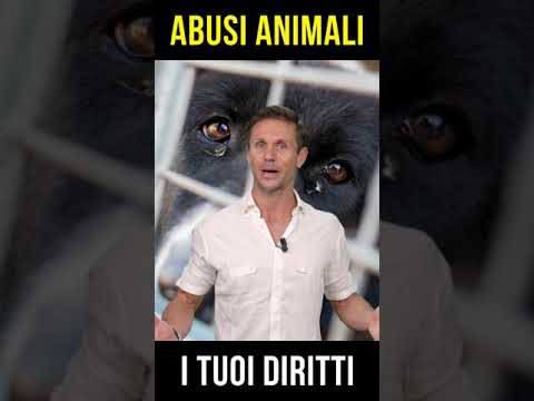 ABUSI SUGLI ANIMALI | Avv. Angelo Greco #shorts