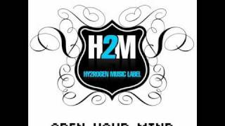 Hy2rogen & Fr3cky - Open Your Destination (David Puentez WMC 2010 Bootleg Mix)