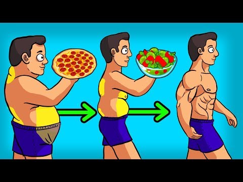 3 BEST Diets to LOSE WEIGHT & BELLY FAT - UC0CRYvGlWGlsGxBNgvkUbAg