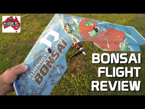 Flight Review: Hobby King Bonsai 600mm Wing - UCOfR0NE5V7IHhMABstt11kA