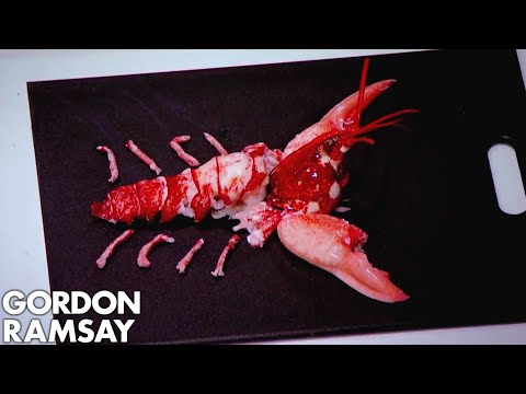 Gordon Ramsay | How to Extract ALL the Meat from a Lobster - UCIEv3lZ_tNXHzL3ox-_uUGQ