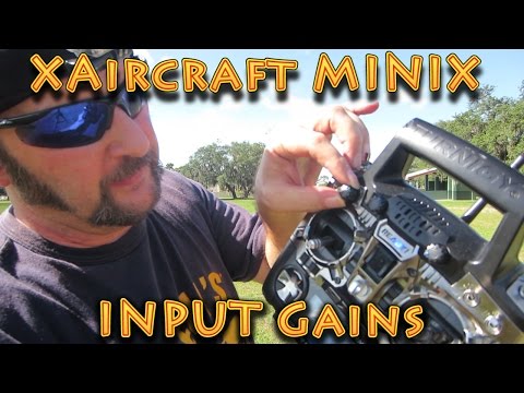 XAircraft MiniX Input Gains Tuning - UC18kdQSMwpr81ZYR-QRNiDg