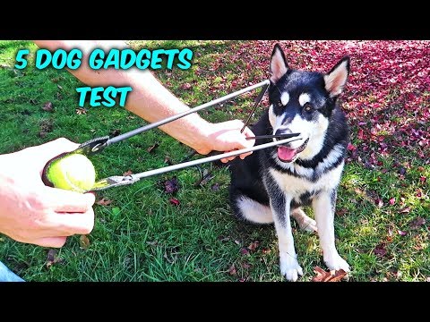 5 Dog Gadgets Put to the Test - Part 10 - UCe_vXdMrHHseZ_esYUskSBw