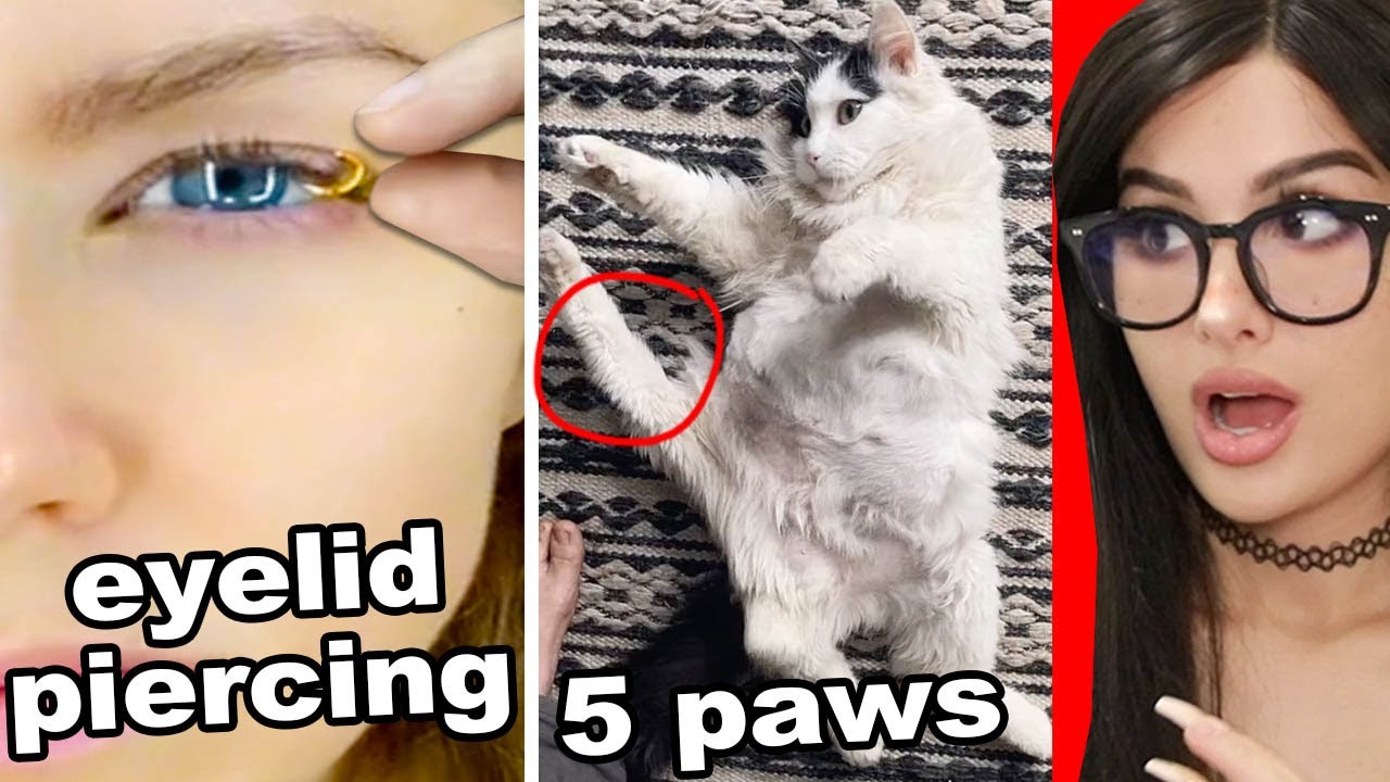 Weird Things You Have Never Seen Before On TikTok