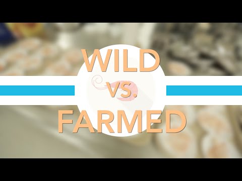 Farmed vs. Wild Shrimp: Which Tastes Better? | Consumer Reports - UCOClvgLYa7g75eIaTdwj_vg