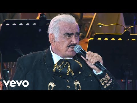 Vicente Fernández - No Volveré (En Vivo)[Un Azteca en el Azteca] ft. Alejandro Fernández - UCK586Wo8pKz0C50xlSZqSDA