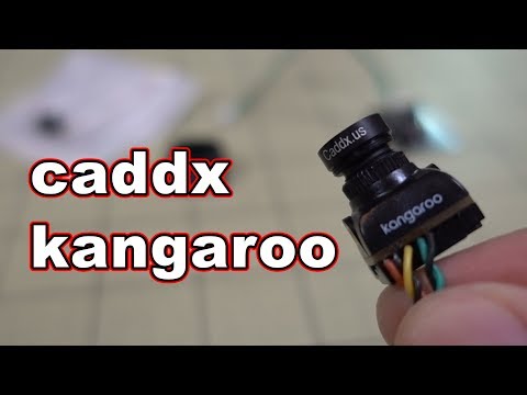 Caddx Kangaroo FPV Camera Review  - UCnJyFn_66GMfAbz1AW9MqbQ