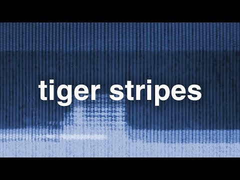 Tiger Stripes - Jack My Yum - UCO3GgqahVfFg0w9LY2CBiFQ