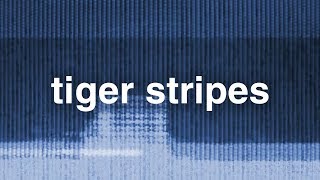 Tiger Stripes - Jack My Yum