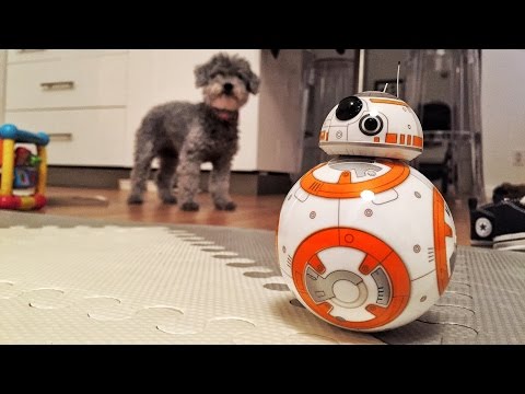 Dog VS. Droid - UCtinbF-Q-fVthA0qrFQTgXQ