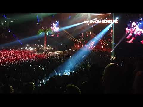 187 Strassenbande - Nummer unterdrückt (Live 07.03.2019)