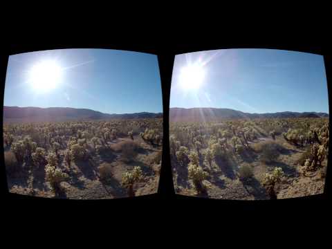 Oculus Rift 3D FPV Quadcopter - Joshua Tree Cactus Garden - UC8SRb1OrmX2xhb6eEBASHjg