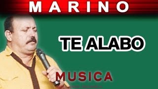 Marino - Te Alabo (musica)