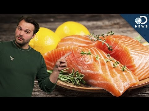 Should You Avoid Farmed Fish? - UCzWQYUVCpZqtN93H8RR44Qw