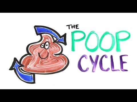 The Poop Cycle - UCC552Sd-3nyi_tk2BudLUzA