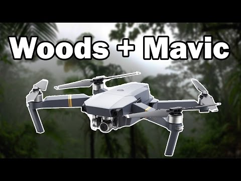 Forest Flying - DJI Mavic Pro - UCnAtkFduPVfovckNr3un1FA