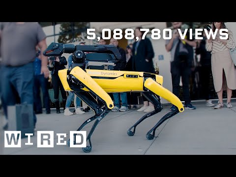 How Boston Dynamics' Robots Became Internet Favorites | WIRED - UCftwRNsjfRo08xYE31tkiyw