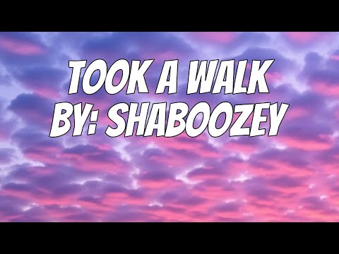 Shaboozey - Took A Walk (Lyrics)