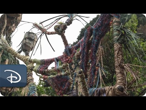 ‘Placemaking’ Pandora - The World of Avatar | Disney's Animal Kingdom - UC1xwwLwm6WSMbUn_Tp597hQ