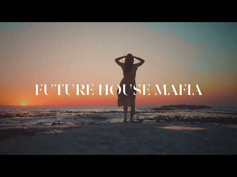 DJ Snake & Bipolar Sunshine - Paradise