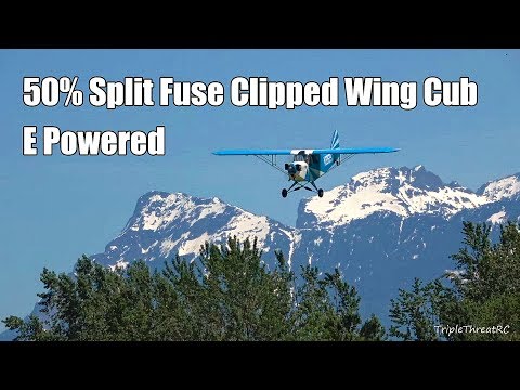 Huge 50% EP Split-Fuse Clipped Wing Cub - UCvrwZrKFfn3fxbkpiSIW4UQ