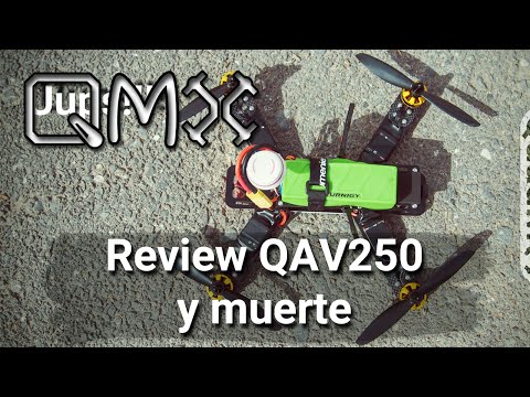 Review y muerte de QAV250- Español - UCXbUD1VgLnAA-pPs93Wt2Rg