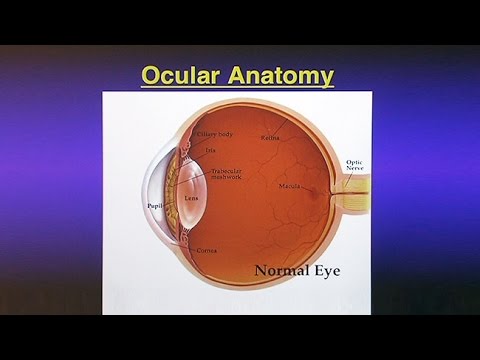 Glaucoma: The Silent Blinding Disease - UCh6KFtW4a4Ozr81GI1cxaBQ