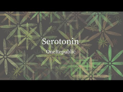 【和訳】Serotonin - OneRepublic