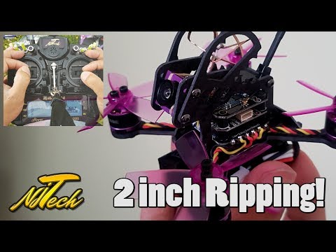 Eachine Lizard - Freestyle with Sticks! - UCpHN-7J2TaPEEMlfqWg5Cmg