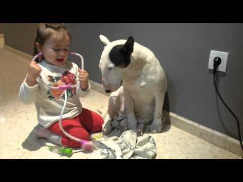 Köpekle Doktorculuk Oynayan Küçük Kız