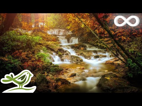 Relaxing Celtic Music: Sleep Music, Flute Music, Meditation Music, Beautiful Relaxing Music ★86 - UCjzHeG1KWoonmf9d5KBvSiw