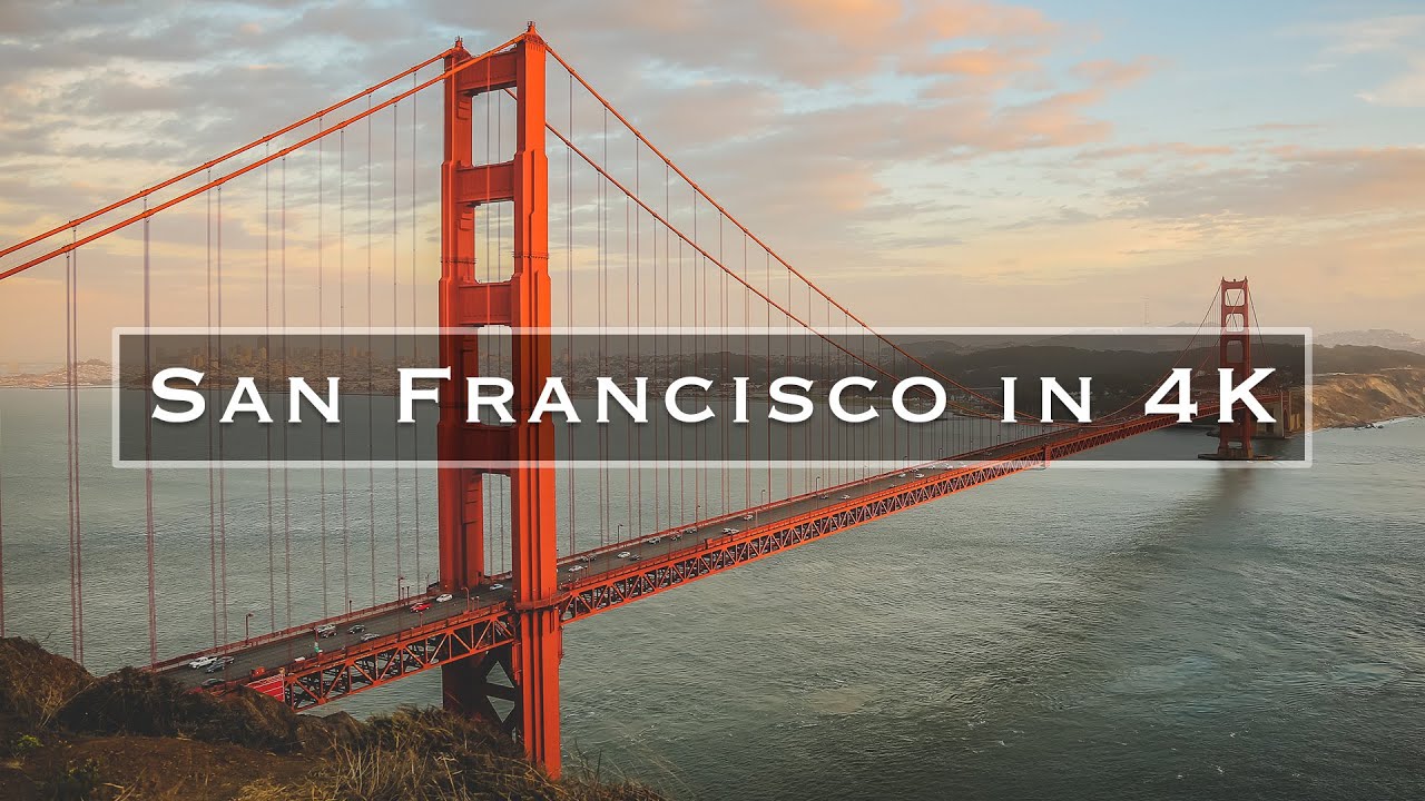 San francisco dating activity