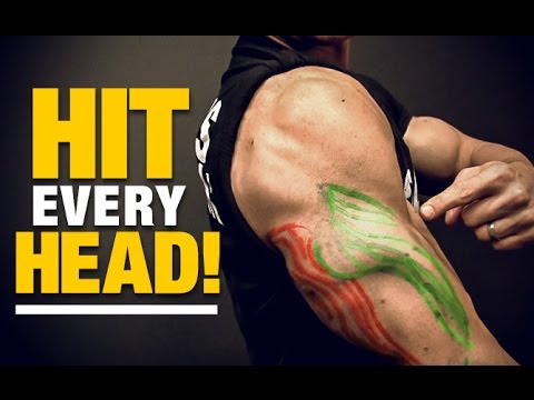 Exercises for Triceps for Every Head (HIT EM ALL!) - UCe0TLA0EsQbE-MjuHXevj2A