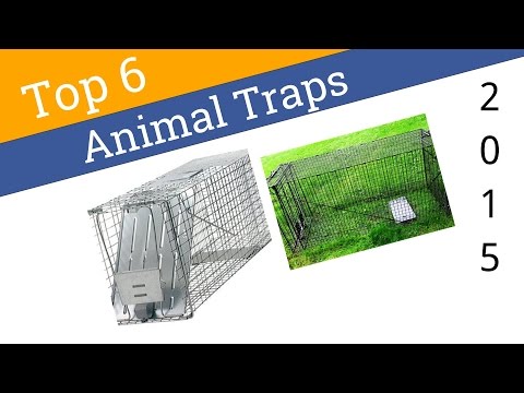 6 Best Animal Traps 2015 - UCXAHpX2xDhmjqtA-ANgsGmw