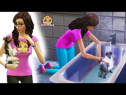 Muddy Dogs Bath Time in Strangerville - Cookie Swirl C Sims 4 Adventure Video Game Let's Play - UCelMeixAOTs2OQAAi9wU8-g