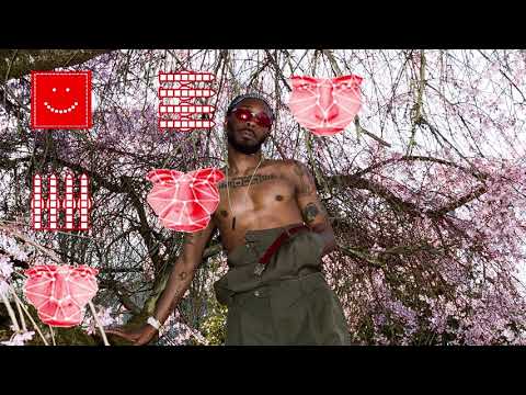 JPEGMAFIA - Rap Grow Old & Die x No Child Left Behind (Audio)