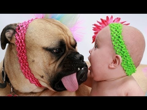 Babies and dogs will make you smile every time - Cute dog and baby Compilation - UCVQU_XpURRlrDbvnQJIwLag